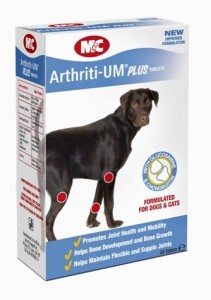 Arthriti-UM 45 Tabletten