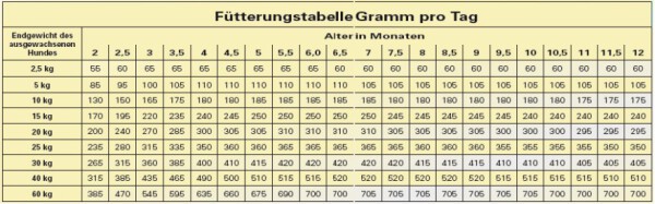 BONT JUNIOR Hundefutter mit ENTE & REIS 15kg